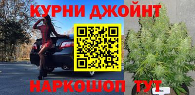 стаф Канаш