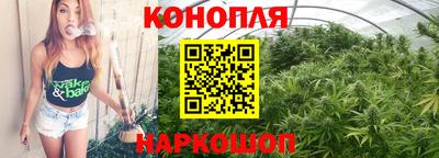 стаф Камышлов