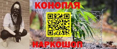 стаф Камышлов