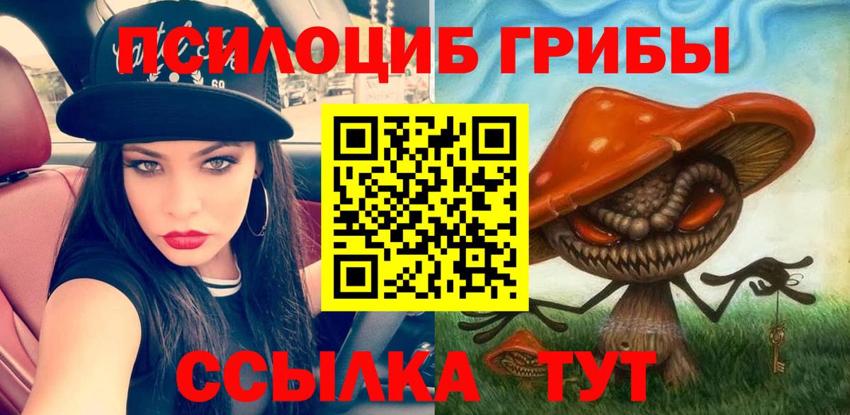 Псилоцибиновые грибы мухоморы Красногорск