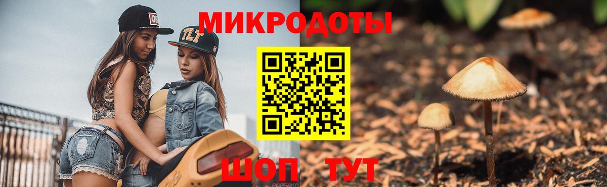 Красногорск  Галлюциногенные грибы ЛСД  Вход с VPN 